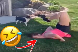 Best Fails of The Week: Funniest Fails Compilation: Funny Video | FailArmy part - 26