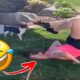 Best Fails of The Week: Funniest Fails Compilation: Funny Video | FailArmy part - 26
