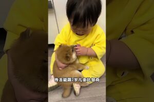 The love for these cute puppies grows day by day #dog #pet #cutedog #puppy #puppylove #cuteanimal