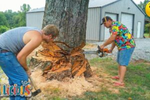 TOTAL IDIOTS AT WORK | Instant Regret Fails Compilation 2025 | Best fail of the week😂 #63