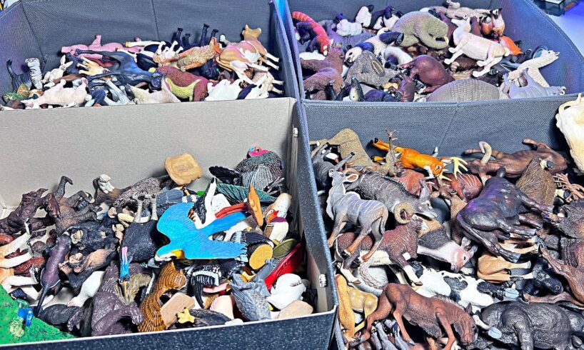 500 Animals - Farm Animals, Primates, Birds, Dogs, Cats, Asian Animals, Monkey, Pig, Donkey, Cow