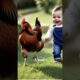 A baby playing with animals,adorable chicks.  #babysmile #petfriends