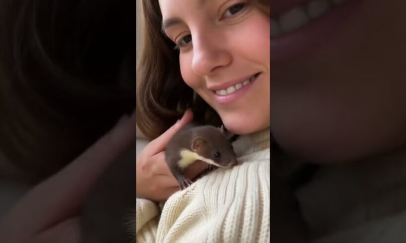 A young woman rescued an abandoned baby ferret. #aianimals #animals #animalintelligence