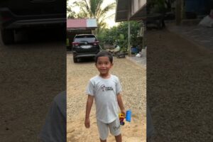 Ada anak anjing lucu #lucu #trandingshorts