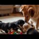 Adorable Dog Playing with Her Puppies – Cutest Moments Ever! 🐶❤️#animals #dog #dogplaying