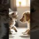 Adorable Kitten and Golden Retriever Puppy Playtime Fun #cute #puppies #kittens
