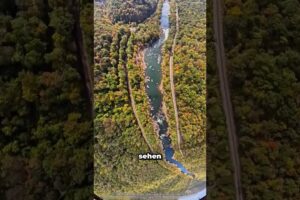 Alle dachten, er sei verloren, bis dies geschah.