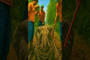 Amazing Animal Rescue Video: Elephant Rescue #animalrescue #elephant #amazing