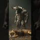 Anthropomorphic Animal Fights — 5 Brutal Battles | Hyper-Realistic CGI Combat #ai #animals #animal