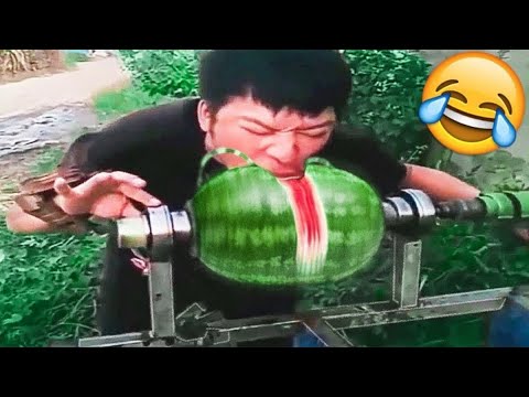 BEST Fails of the WEEK! 🤣 Ultimate Try Not To Laugh Challenge Compilation (Nov 2025)