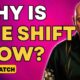 Bashar Reveals Why The "Great Shift" is Slow (Bashar Compilation) ( Darryl Anka )