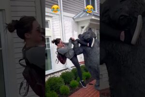 Best Fails of The Week hell no