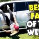 Best Funny Fails of The Week 🤣 #13   Try Not To Laugh Challenge