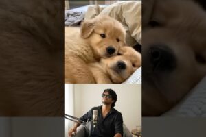 CUTEST PUPPIES I EVER REACT🥹. #shorts