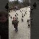 Cute Ducklings Follow Toddler Around Park