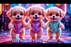 Cute 😍 Puppies Funny 😂 Dance💃🏻|| Dogs Funny Dance || #puppiesfunnydance #dogsfunnymoments#Dancingcat