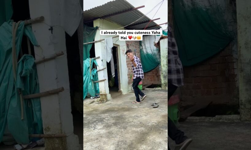 Cuteness overloaded cute cute puppies 🐶 #puppy #cuteanimal #cutepuppy #puppies #dogs