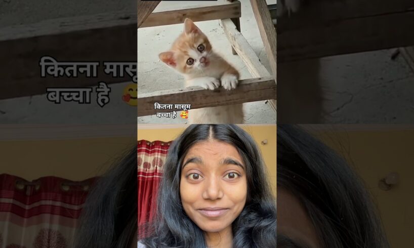 Cutest Kitten In The World😱 #cute