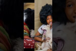 “Cutest Puppies Compilation Ever 🐶 #Shorts”