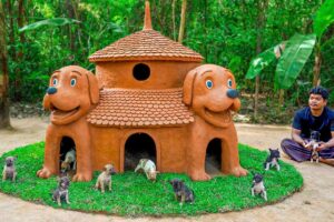 Cutest Puppy House Ever – Watch Their First Reaction!