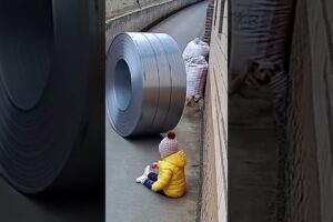 Dog Stops Rolling Metal Coil From Crushing Toddler | Unbelievable Hero Pet Moment