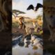 Eagle Saved the Lion Cub From the Alligator at the Last Second 😱