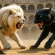 ⚔️ Epic Animal Fight: Legendary White Lion vs Savage Black Panther | Who Will Win?