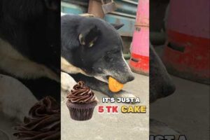 Feeding Sick Helpless Dog 😢 | Hungry Stray Dog Rescue Story | Emotional Street Dog Video