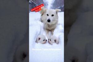 “Frozen Puppies Cry for Help… What Happened Next Will Melt Your Heart” ⭐#animals #dog #puppies