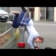 Funny Fails Caught on Camera 🤣 | Best Fails of the Week (Part 4)