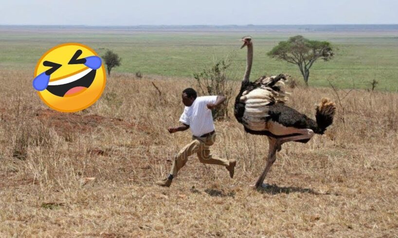 Funny Fails of the Week 😂 | Instant Regret Moments #6