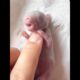 Girl Rescues a Baby Rabbit 🐰❤️