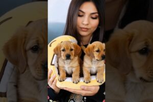 Girls & Cute Puppies 🐶✨#dog