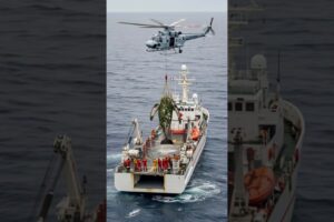 Helicopter rescue for a whale covered in barnacles!