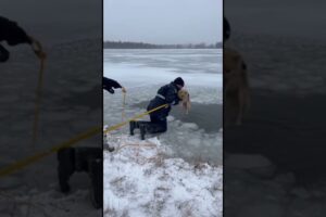 Heroic Ice Rescue: Tiny Dog Saved from Frozen Lake 🐶❄️