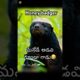Honey badger మనోడే అడవి గూండా గాడు 🤣 #shorts #wildlife