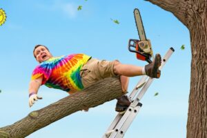 Idiots With Chainsaws Tree Cutting Fails & Roof Smashes | chainsaw #12
