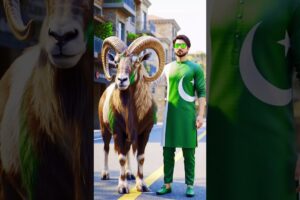 🇮🇳 India vs 🇵🇰 Pakistan l National animal Fight who will win #ai #nationalanimal #fight