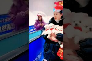 Most Cutest Puppies 😍