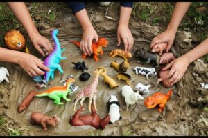 🐅🐘 Muddy Buddies Play and Wash  Learn Animals for Kids  Fun & Educational Video