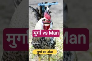 Murge ka anda #comedy #shortsvideo #aalupyaj #aalupyajjoke #thetharpuns #hehar @thethar_puns