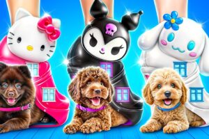 One Colored Dog House Challenge! Hello Kitty vs Kuromi vs Cinnamoroll!
