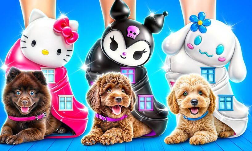 One Colored Dog House Challenge! Hello Kitty vs Kuromi vs Cinnamoroll!