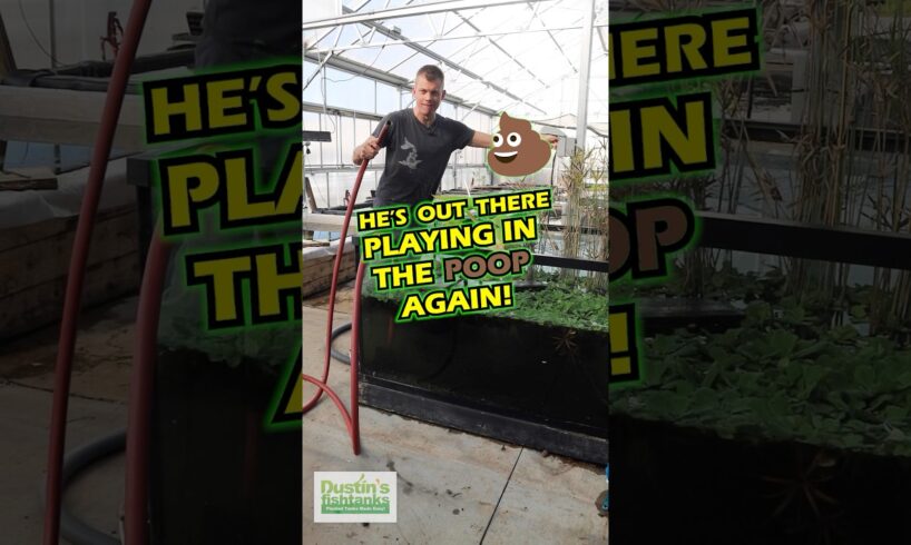 Playing In The Poop 💩 Again - PART 1