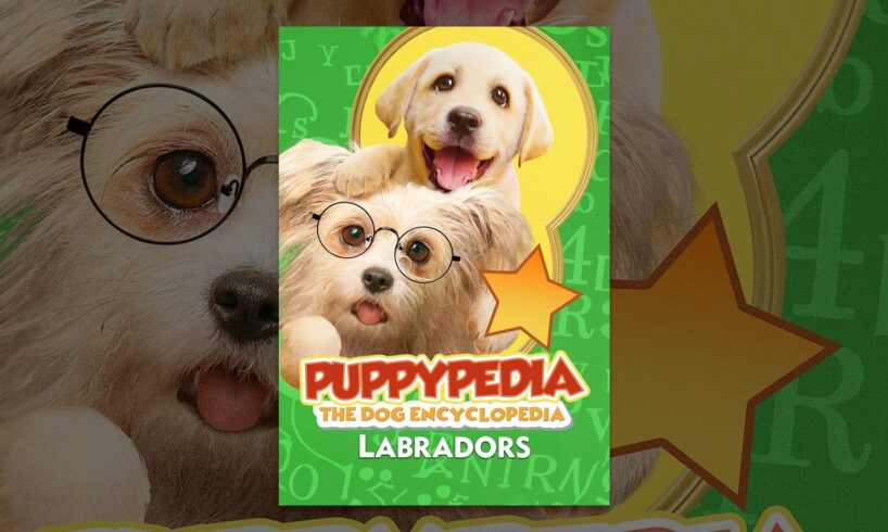 Puppy-Pedia The Dog Encyclopedia: Labradors