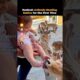 Ranked: Animals Meeting Babies for the First Time 👶🐾