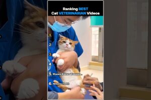 Ranking Best Cat Veterinarian Videos