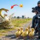 Rescue Hero Saves Mother Duck From Terrifying Snake Attack — Thanks to Baby Ducks 🐍🦆❤️