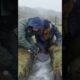 Rescuing a Small Animal Trapped in a Narrow Stream 🐾