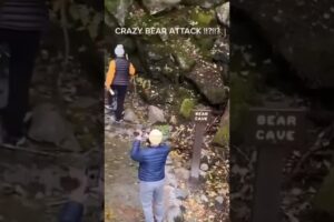 Saddest Deaths Caught On Camera 😭